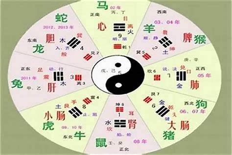 棠 五行|棠字的五行是什么,棠的五行属性及吉利寓意